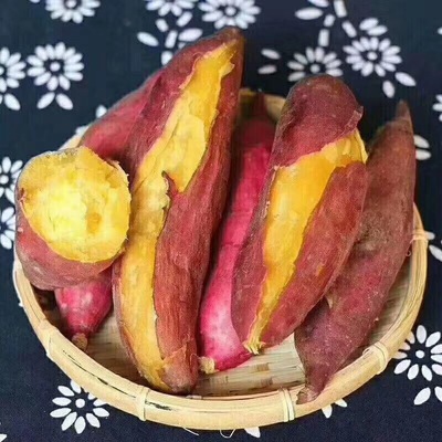 六鳌红蜜薯3斤 红心地瓜六鳌蜜薯沙地现挖新鲜红薯蜜薯一件代发|ms