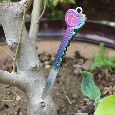 隨身迷妳鑰匙刀 多功能折疊水果刀 不鏽鋼禮品鑰匙刀 亞馬遜熱銷