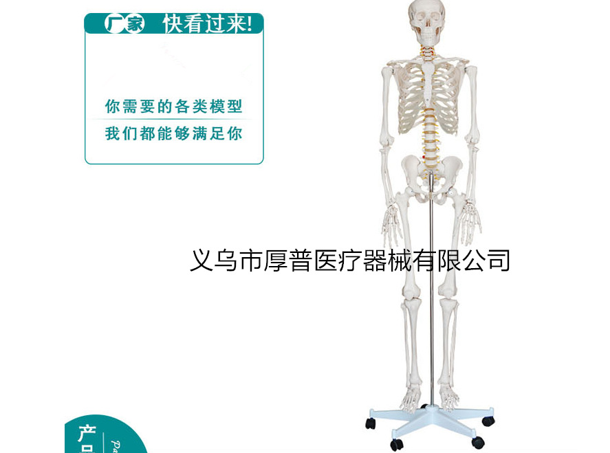 微信图片_20180818154709_副本