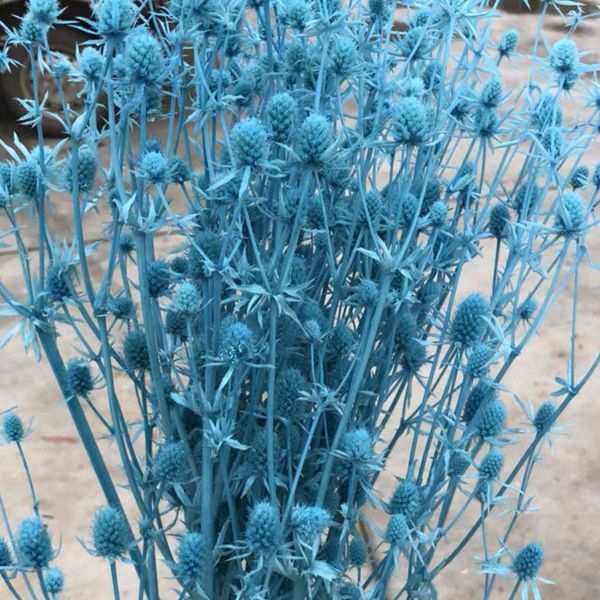 微信图片_20180626132102_副本