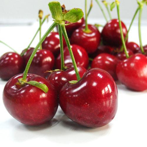 【源頭直供 大連大櫻桃車厘子】順豐空運直達當季新鮮美早大櫻桃D