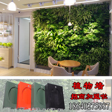 植物牆/植物牆招商加盟/植物牆配件/自動澆灌植物牆花盆招商加盟