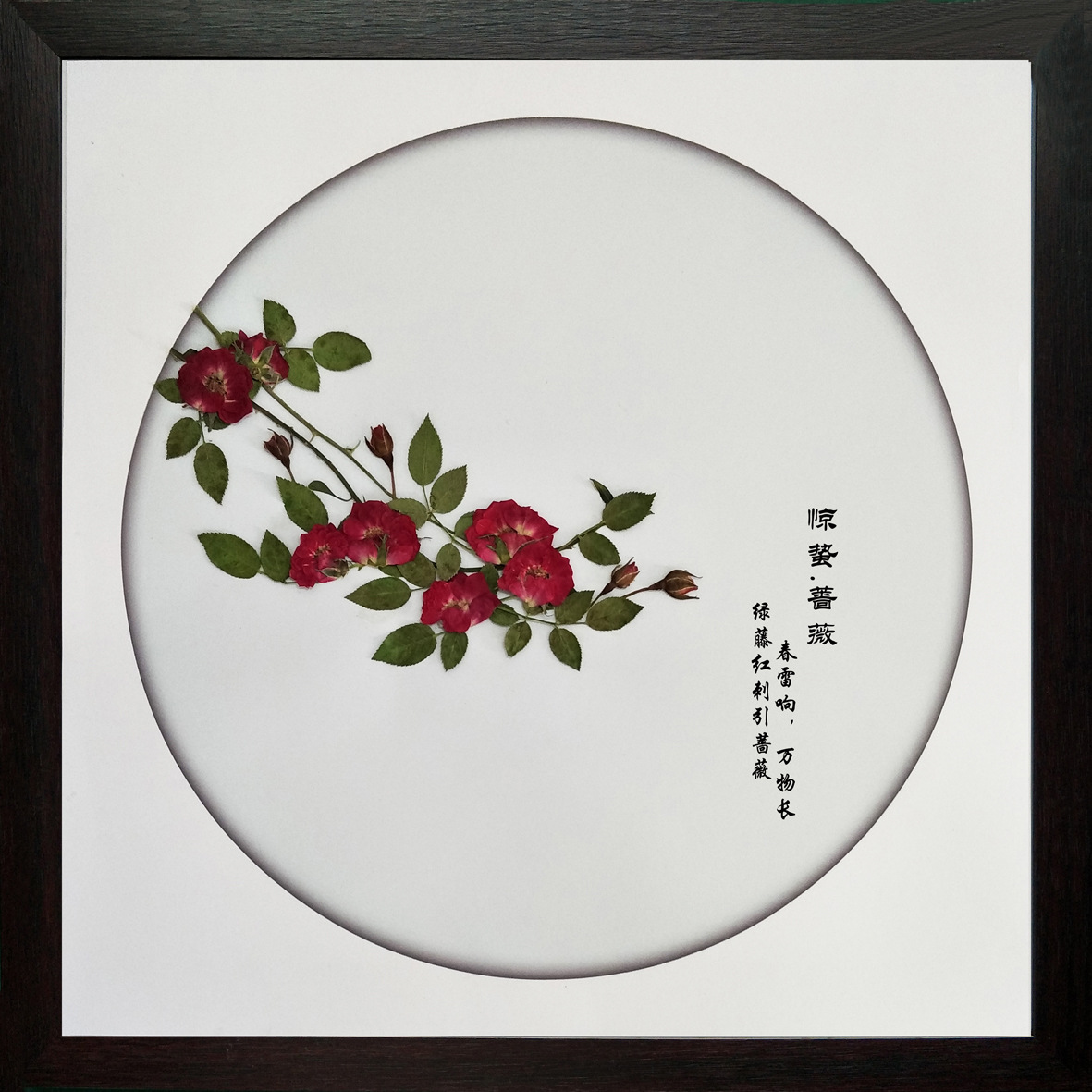 二十四节气植物押花画 3.惊蛰.蔷薇