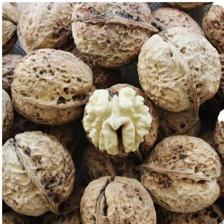 mmexport1543309142743_副本