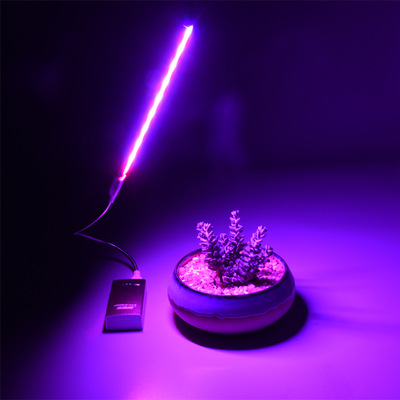批发室内仿太阳光补光灯 全光谱花卉多肉红蓝灯USB led植物生长灯