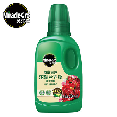 美樂棵家庭園藝液體肥250ml 盆栽花卉紅掌專用濃縮液體肥料營養液