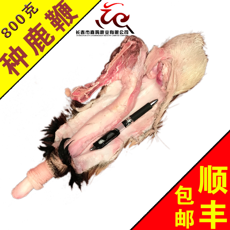 長白山梅花鹿鮮鹿鞭幹鹿鞭純正鹿鞭膏男性滋補品鮮鹿茸鹿茸血批發