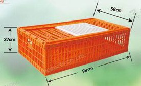 成鸡周转箱(加长加宽加厚) 鸡笼 （龙龙塑业）