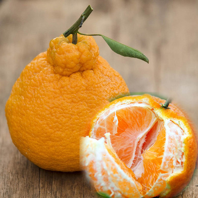 湖南果苗批发不知火柑桔苗不知火苗日本杂柑苗不知火丑八怪果树苗|ms