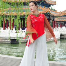 范儿丹斯中老年广场舞民族演出服装中国复古风刺绣网纱袖裙裤套装