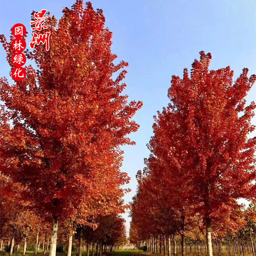 QQ图片20181016101301_副本