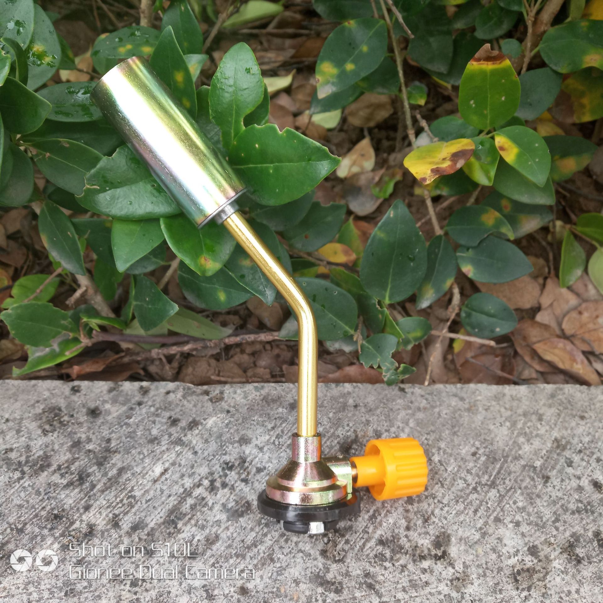 QQ图片20181213135433