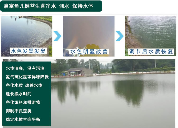 养鱼调水专用益生菌调水剂