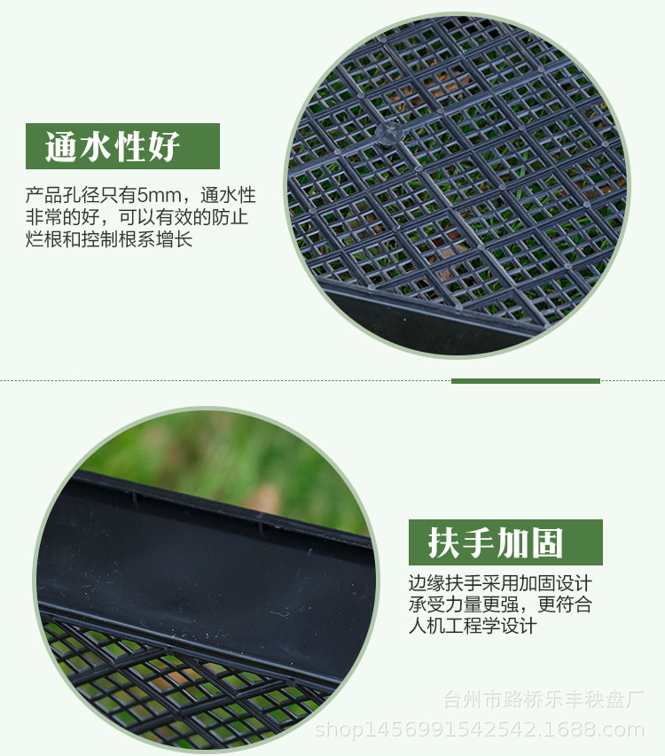 铁皮石斛育苗盘详情 (5).jpg