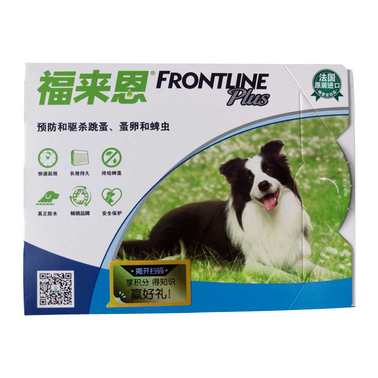 福來恩 中型犬1
