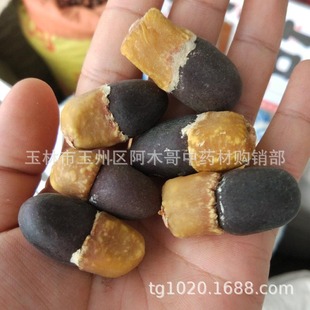 �R���� �R�������� ���� ���� �ִ� ��朾������� �ꖹ� ����