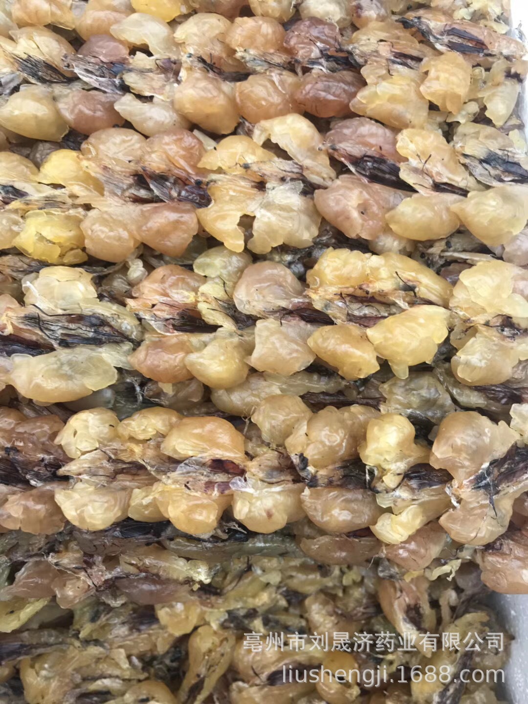 厂家直销雪蛤油东北天然林蛙油 一手货源支持代发