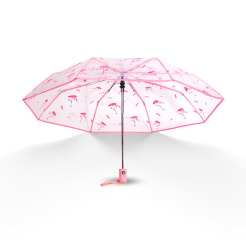 Umbrella transparent umbrella folding umbrella fully automatic umbrella Korean transparent umbrella small fresh girl multi-color sunny umbrella student umbrella