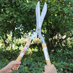 Japanese Golden Horse Fence Shears, Hedge Shears, Lawn Shears, Pruning Shears, Tea Plant Shears, Gardening Shears, Garden Tools