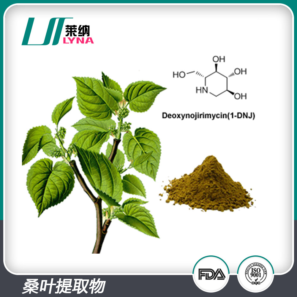桑叶提取物 1%含量脱氧野尻霉素DNJ原料粉末 现货包邮量大从优