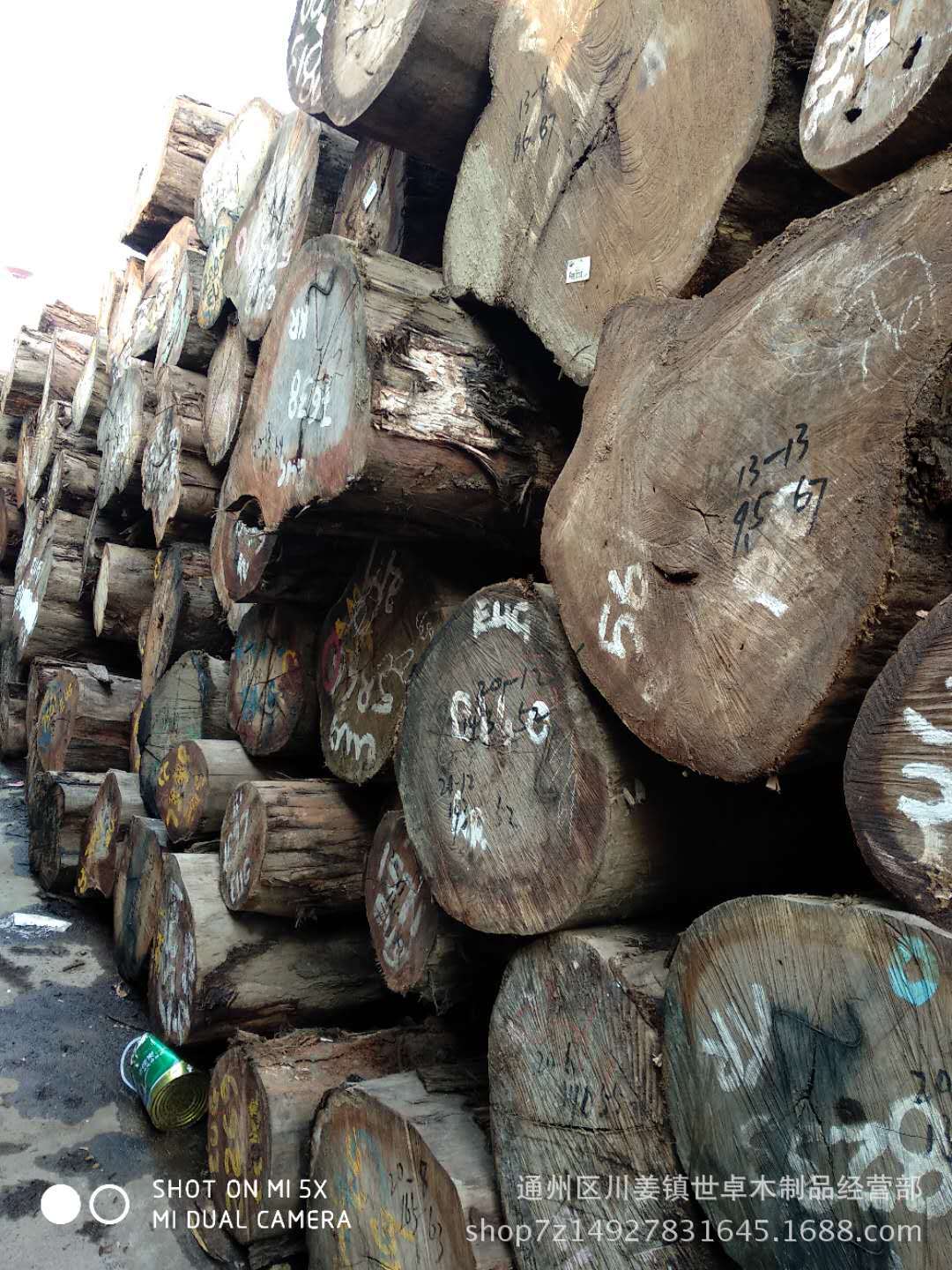 水胶木百科,味道,用途_大山谷图库