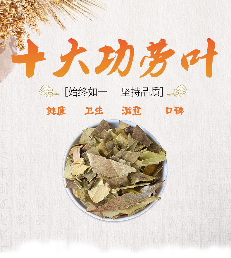 Shi Da Gong Lao Ye (Mahonia bealei) — Dried Mahonia Leaf for Herbal Tea & Decoction key features