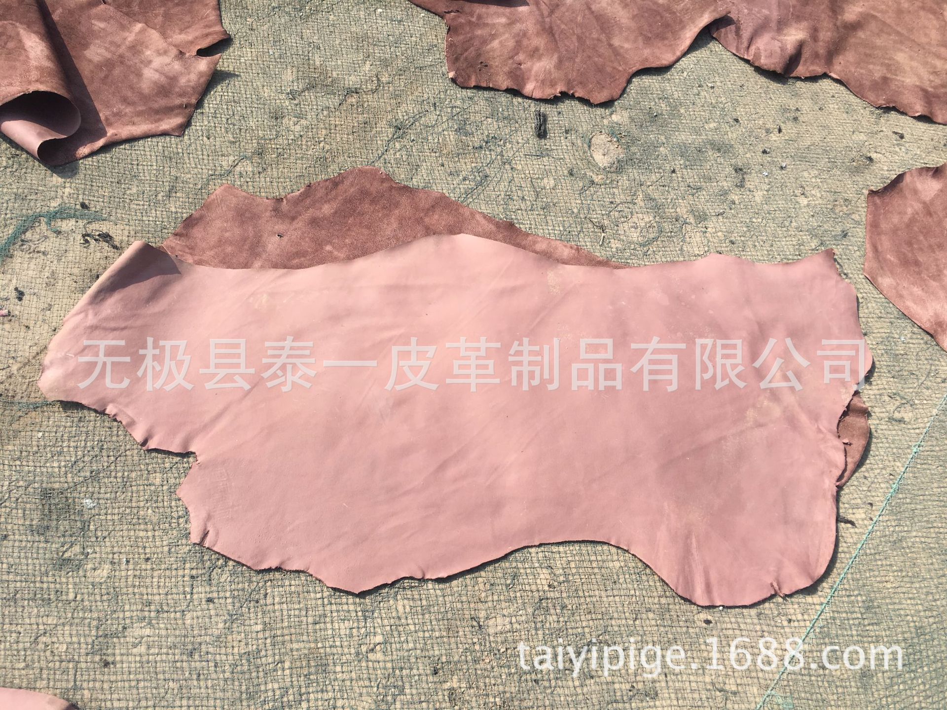 牛二层脖头湿法皮，颜色可订做