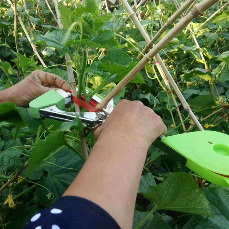 葡萄枝条绑蔓器 丝瓜番茄捆绑机 松紧可调爬秧绑枝机图片