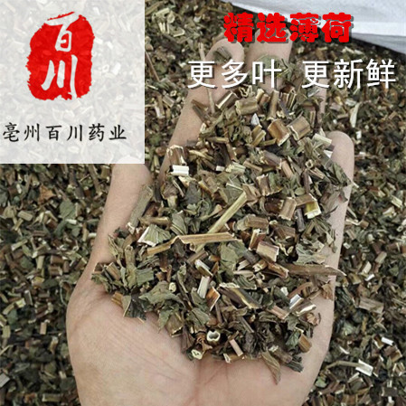 Baichuan Pharmaceutical Mint 0.5kg New Arrival Sifted High Quality Unconditional Return or Exchange Within 15 Days