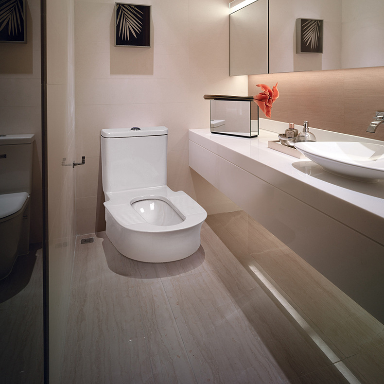 ceramics Pissing Direct selling Desktop Pissing water tank one Yu Jie bathroom Pit hotel wholesale