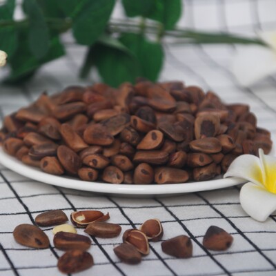 Xinjiang nut Roasting Pine nuts 500g Office Leisure snacks Large favorably