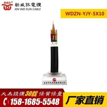 ����Ӎ늾���| WDZN-YJY-5о �~о�͜ص͟��o�u��|