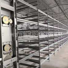全自动蛋鸡养殖笼子 三层阶梯式蛋鸡笼 热镀锌设备 厂家批发