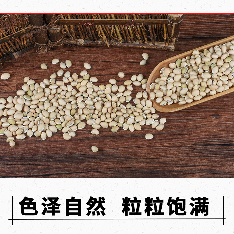 Bai Bian Dou (Dolichos lablab) — Dried White Hyacinth Bean, Food-Herb for Soup & Congee key features