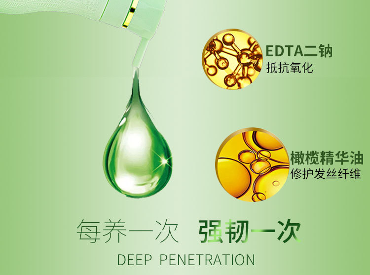 植物叶子详情页1_10