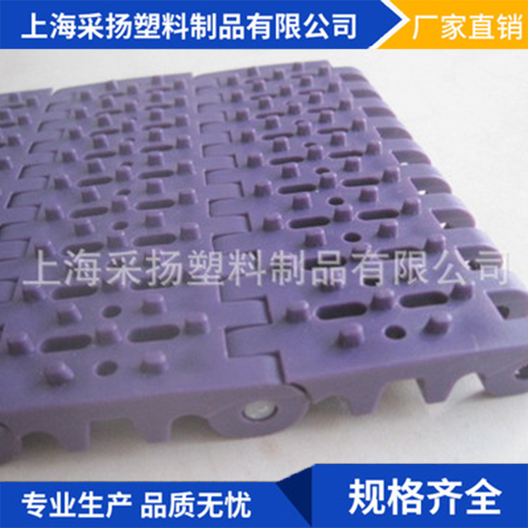 厂家 100系列塑料网带 设备网带 塑料网带