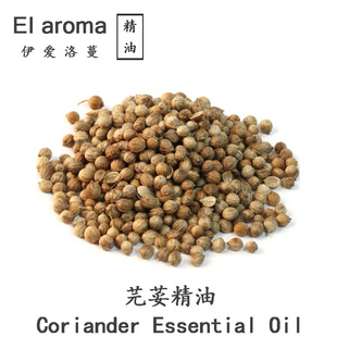 Ħ������ܾݴ�Ѿ��� Coriander��ݴ���� ����цη����� 10ML��ӆ