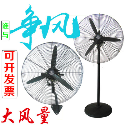 工业风扇落地扇壁挂扇牛角扇纯铜芯大功率750工厂车间强力电风扇