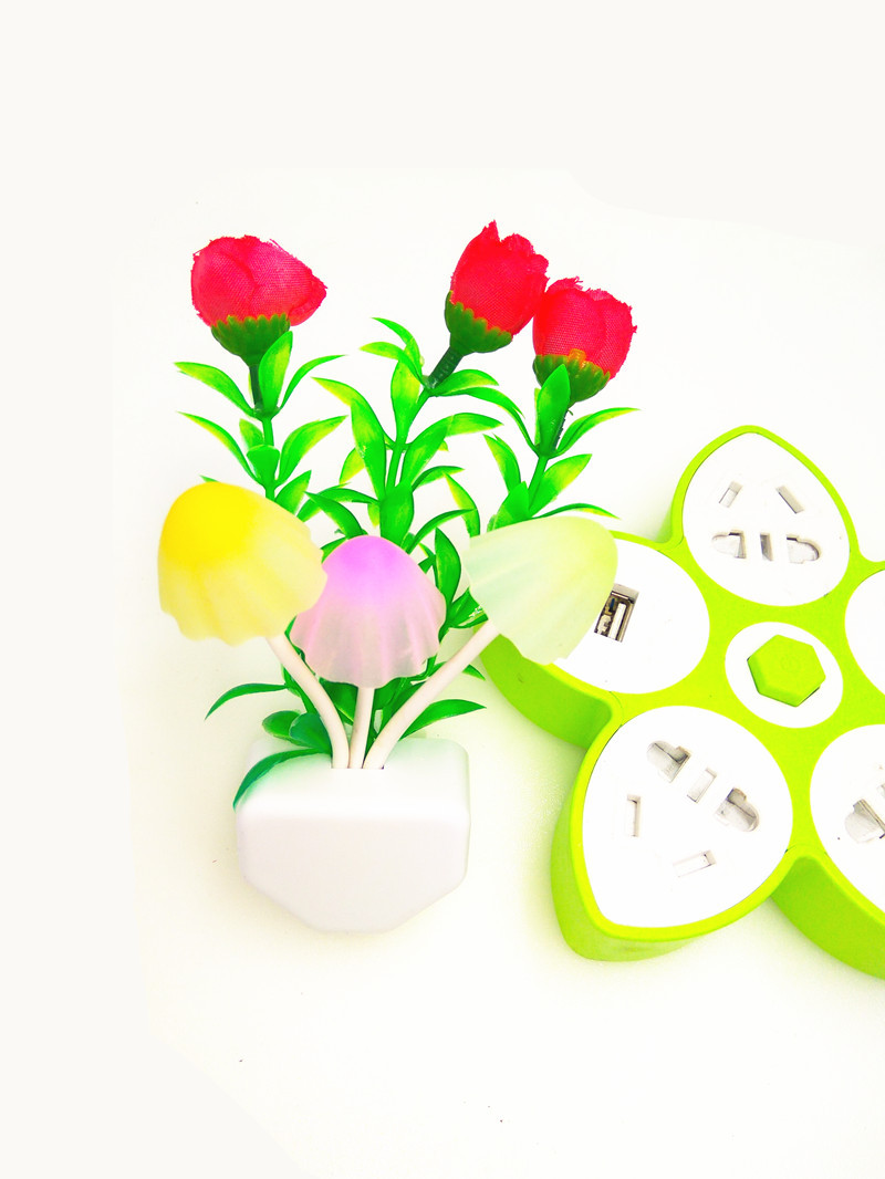 157珍珠苞玫瑰 首页图