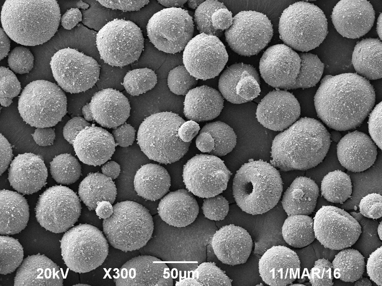 高端等离子喷涂氟氧化钇  球形 氟氧化钇YOF3 直供纯度99-99.99%