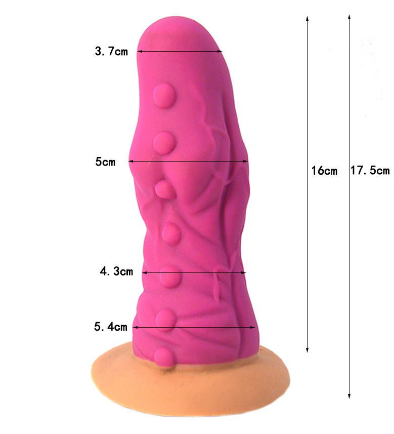 Anal Plug Image 1