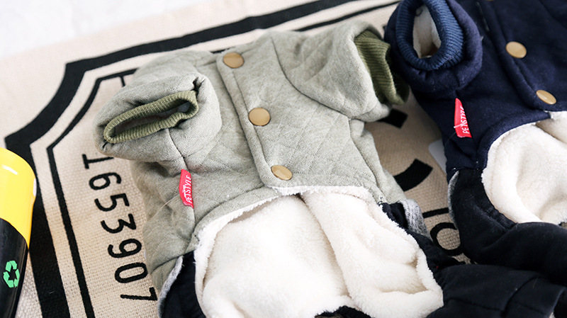 猎鹰星压格四脚衣