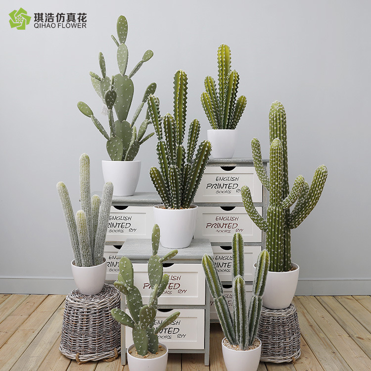 高仿真仙人掌多肉植物盆栽仿真室内装饰绿植盆景带盆 阿里巴巴