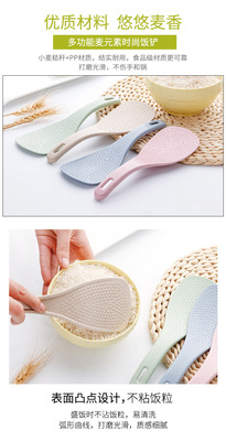 详情 (1).jpg_400x400.jpg