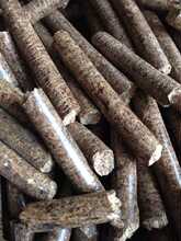 �Sֱ����������Ȫ�ݏB�T偠t�����|�w�����Y���ٟ���ֵ�ߕx��ʯ�{