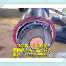 辽宁省，110kV 电缆厂家ZR-YJLW03-Z 64/110-1x150（图片）
