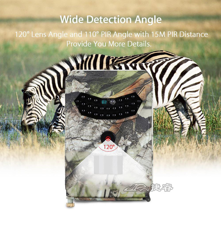 8249371772_1922889465