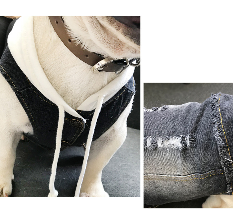 Pet Vest