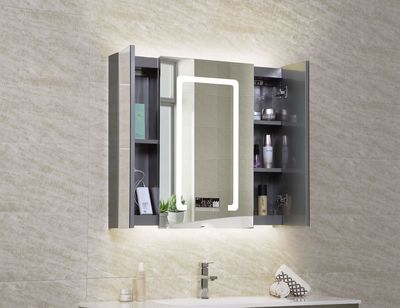 Foshan Manufactor wholesale LED intelligence Fog Shower Room Stainless steel Mirror cabinet European style TOILET Mirror cabinet customized