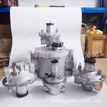 �S��ֱ�����Ƶ�ȼ������C��O������{���yGIK40R02-5 DN40 DN25
